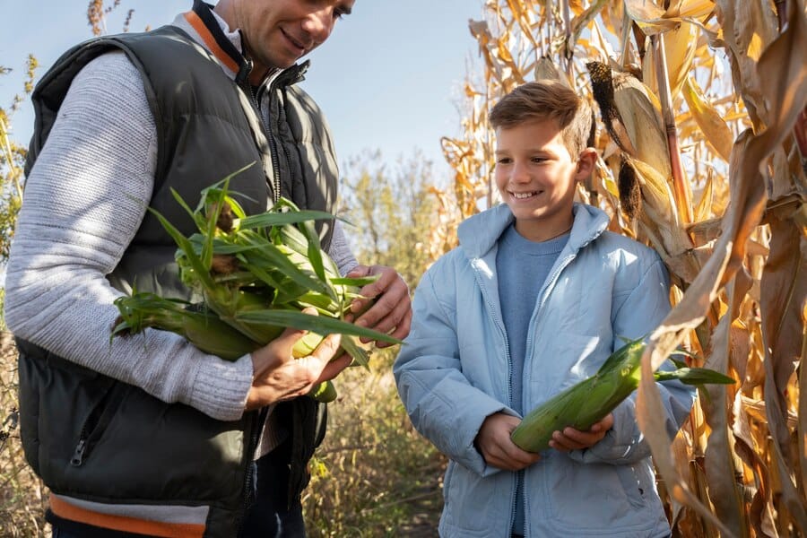 Farm Insurance